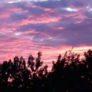 欧美老妇和小鲜肉A片
